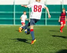 独家揭秘,遵义虫虫精,选排列三,大发彩票,购彩大厅,大发快三网站,大发彩票邀请码,大发彩票邀请码注