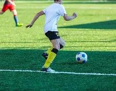 双色球秘籍,期精准杀球,攻略,大发彩票,购彩大厅,大发快三网站,大发彩票邀请码,大发彩票邀请码注