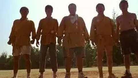 【双色球2025141】精准预测来袭！复式8+2，投资有回报，好运连连等你抓！